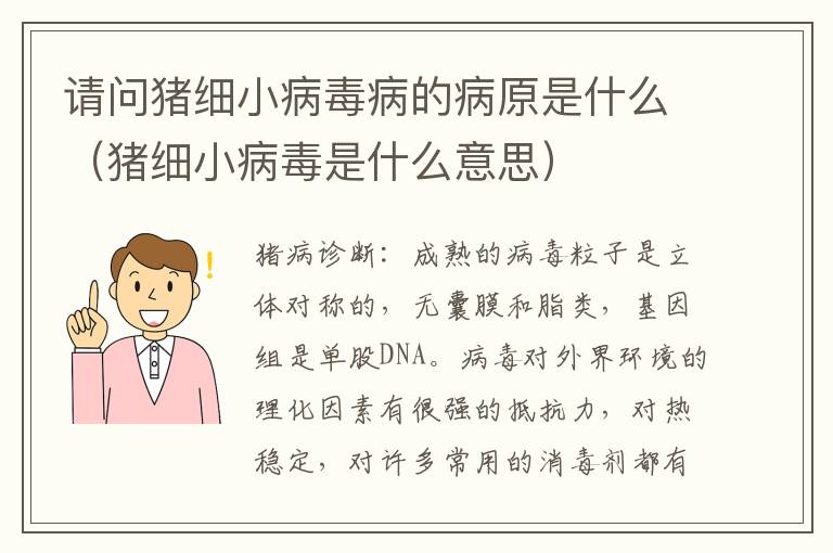 请问猪细小病毒病的病原是什么（猪细小病毒是什么意思）