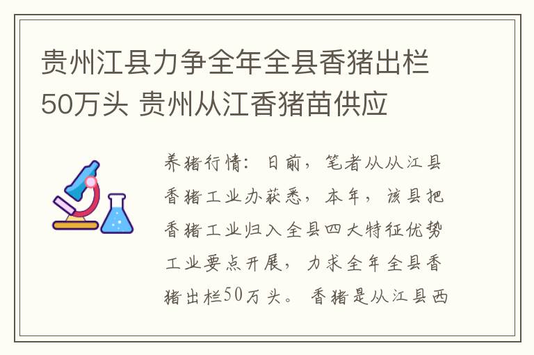 贵州江县力争全年全县香猪出栏50万头 贵州从江香猪苗供应
