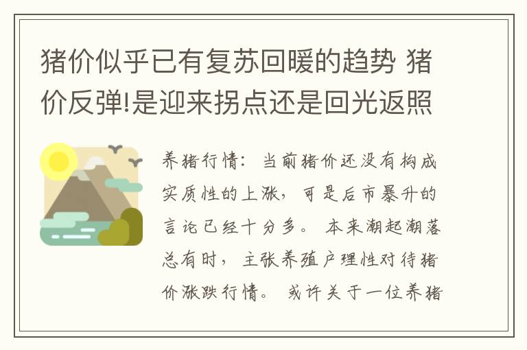 猪价似乎已有复苏回暖的趋势 猪价反弹!是迎来拐点还是回光返照?