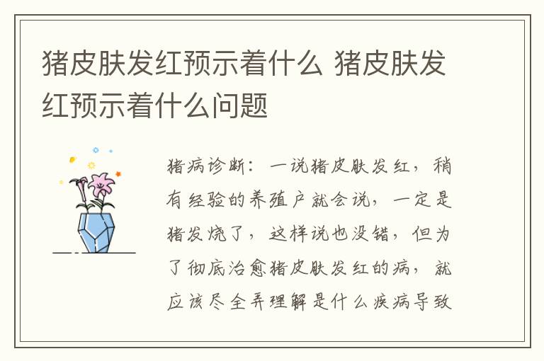 猪皮肤发红预示着什么 猪皮肤发红预示着什么问题
