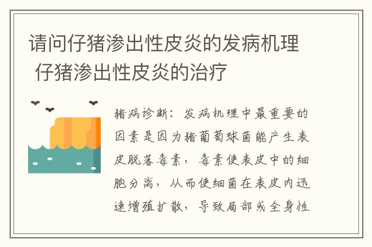 请问仔猪渗出性皮炎的发病机理 仔猪渗出性皮炎的治疗