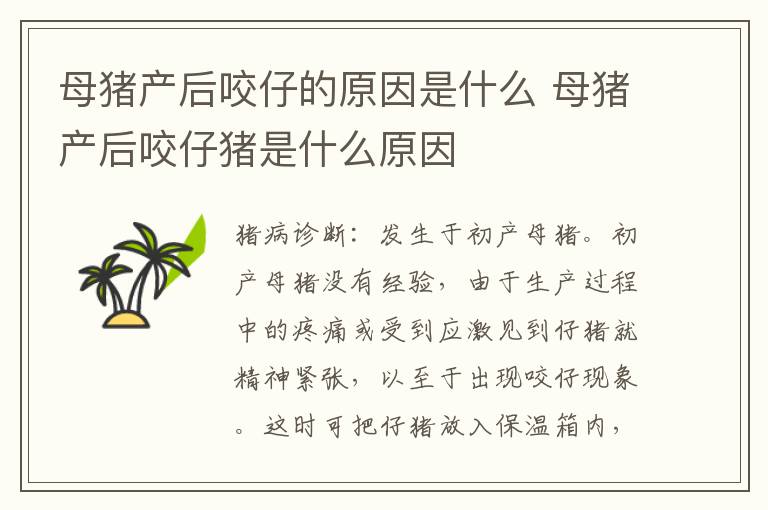 母猪产后咬仔的原因是什么 母猪产后咬仔猪是什么原因