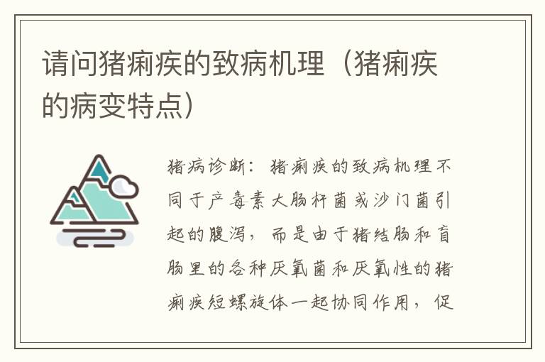 请问猪痢疾的致病机理（猪痢疾的病变特点）