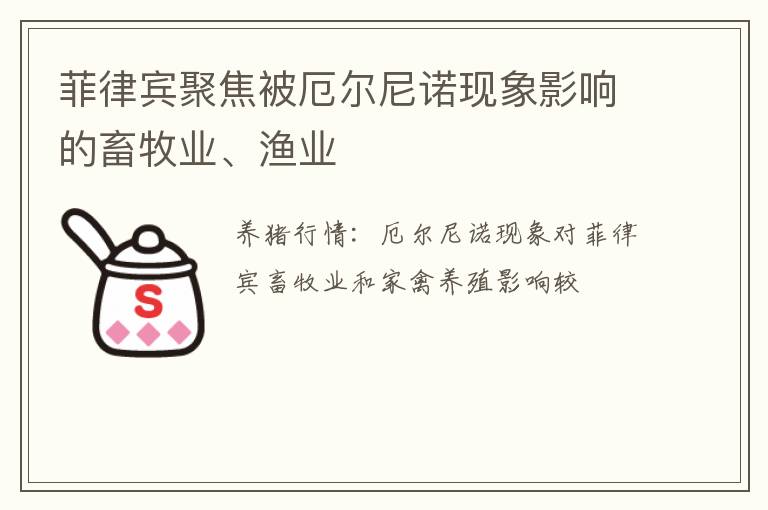 菲律宾聚焦被厄尔尼诺现象影响的畜牧业、渔业