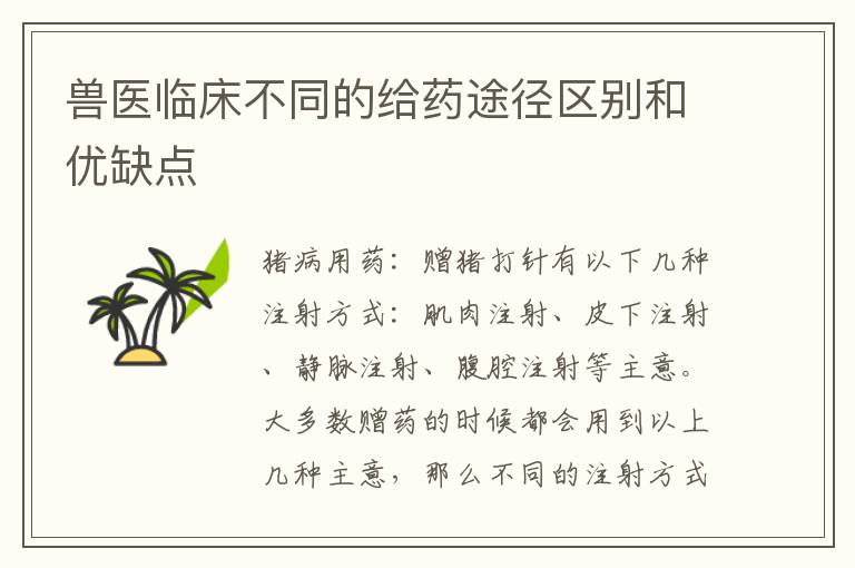 兽医临床不同的给药途径区别和优缺点
