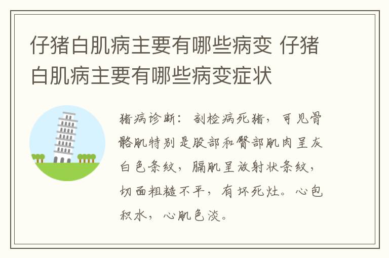 仔猪白肌病主要有哪些病变 仔猪白肌病主要有哪些病变症状