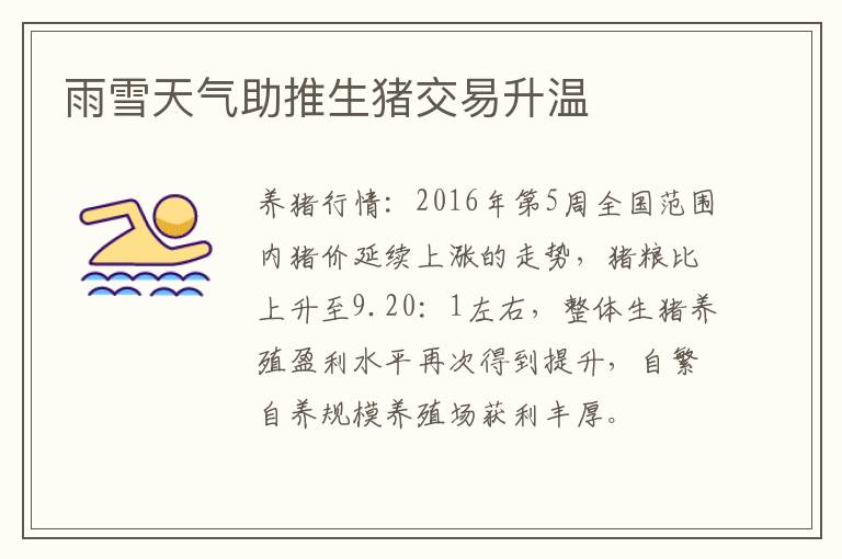 雨雪天气助推生猪交易升温