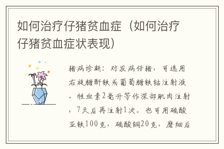 如何治疗仔猪贫血症（如何治疗仔猪贫血症状表现）