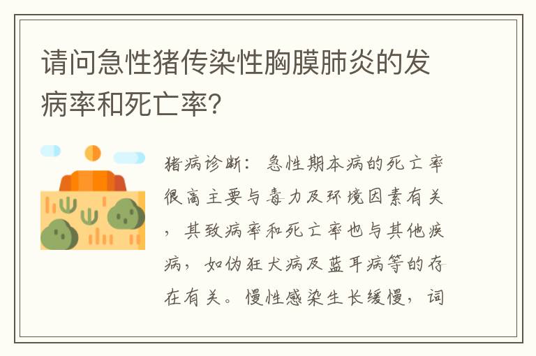 请问急性猪传染性胸膜肺炎的发病率和死亡率？