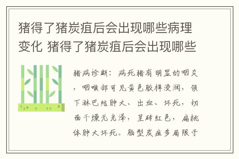 猪得了猪炭疽后会出现哪些病理变化 猪得了猪炭疽后会出现哪些病理变化现象