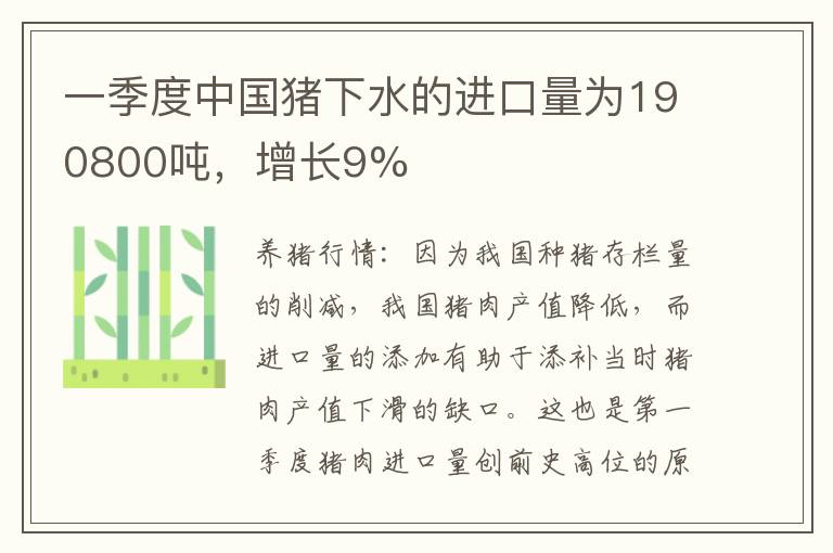 一季度中国猪下水的进口量为190800吨，增长9%