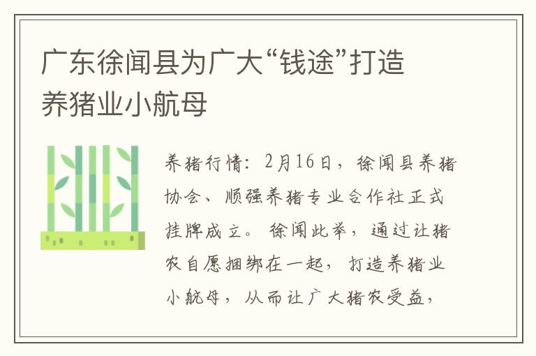 广东徐闻县为广大“钱途”打造养猪业小航母