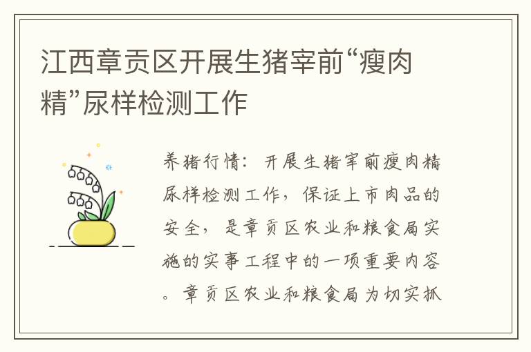 江西章贡区开展生猪宰前“瘦肉精”尿样检测工作