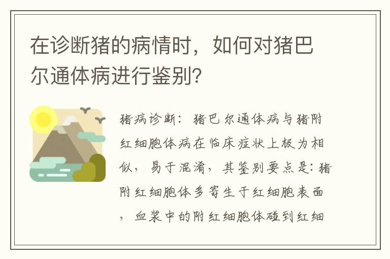 在诊断猪的病情时，如何对猪巴尔通体病进行鉴别？