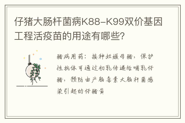 仔猪大肠杆菌病K88-K99双价基因工程活疫苗的用途有哪些？