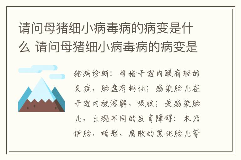 请问母猪细小病毒病的病变是什么 请问母猪细小病毒病的病变是什么意思