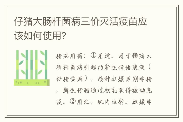 仔猪大肠杆菌病三价灭活疫苗应该如何使用？