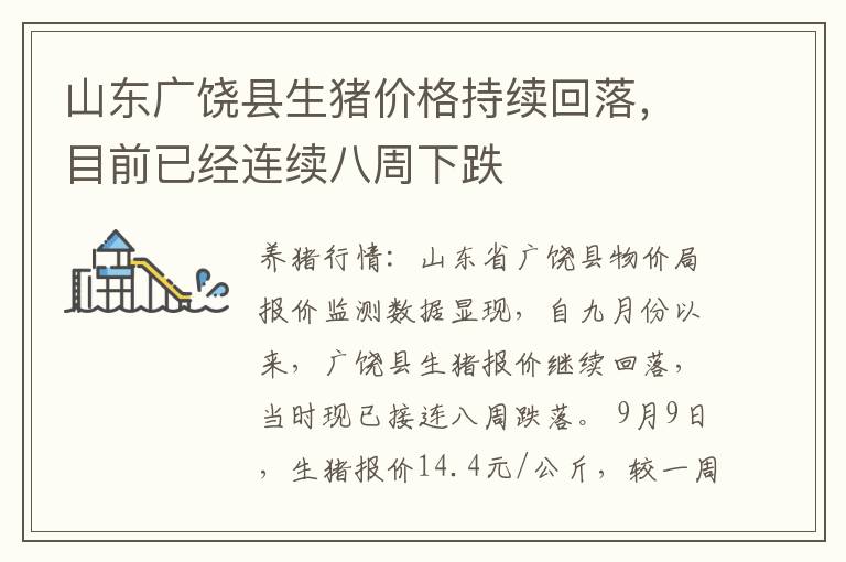 山东广饶县生猪价格持续回落，目前已经连续八周下跌