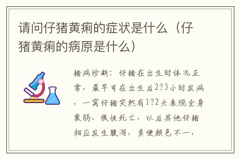 请问仔猪黄痢的症状是什么（仔猪黄痢的病原是什么）