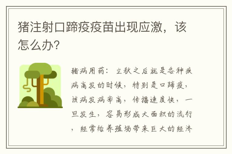 猪注射口蹄疫疫苗出现应激，该怎么办？