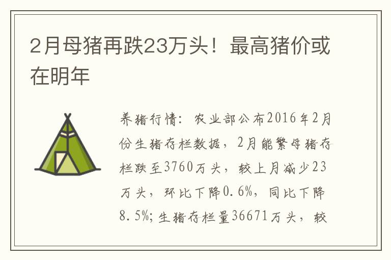 2月母猪再跌23万头！最高猪价或在明年