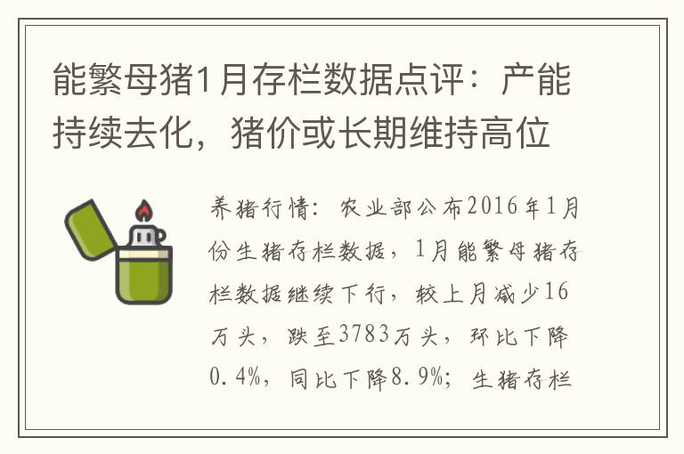 能繁母猪1月存栏数据点评：产能持续去化，猪价或长期维持高位