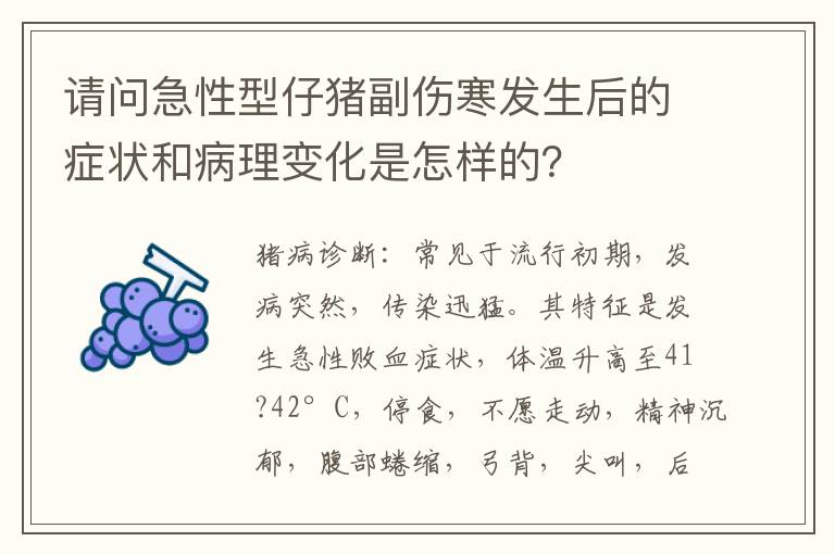请问急性型仔猪副伤寒发生后的症状和病理变化是怎样的？