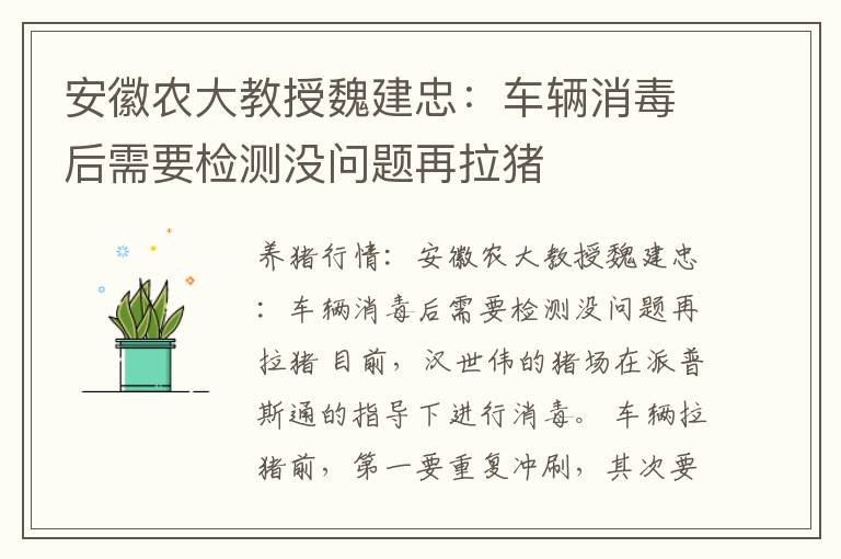 安徽农大教授魏建忠：车辆消毒后需要检测没问题再拉猪