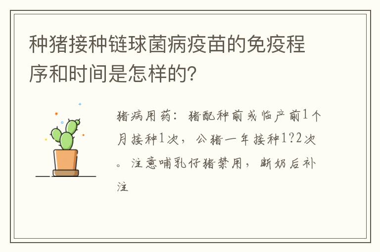 种猪接种链球菌病疫苗的免疫程序和时间是怎样的？