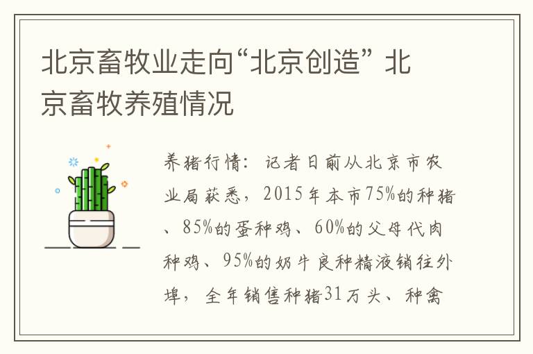 北京畜牧业走向“北京创造” 北京畜牧养殖情况
