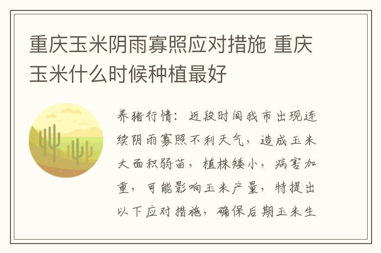 重庆玉米阴雨寡照应对措施 重庆玉米什么时候种植最好