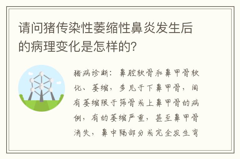 请问猪传染性萎缩性鼻炎发生后的病理变化是怎样的？