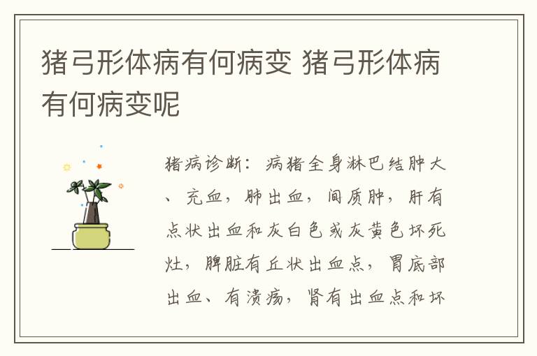 猪弓形体病有何病变 猪弓形体病有何病变呢