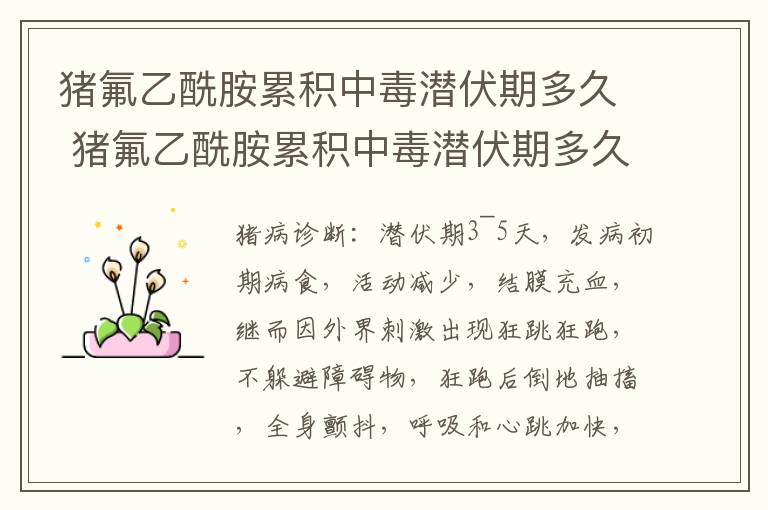 猪氟乙酰胺累积中毒潜伏期多久 猪氟乙酰胺累积中毒潜伏期多久能好