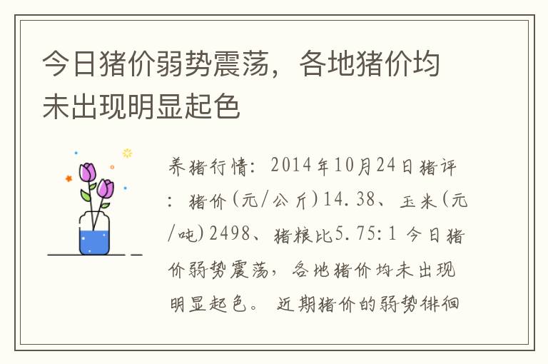 今日猪价弱势震荡，各地猪价均未出现明显起色
