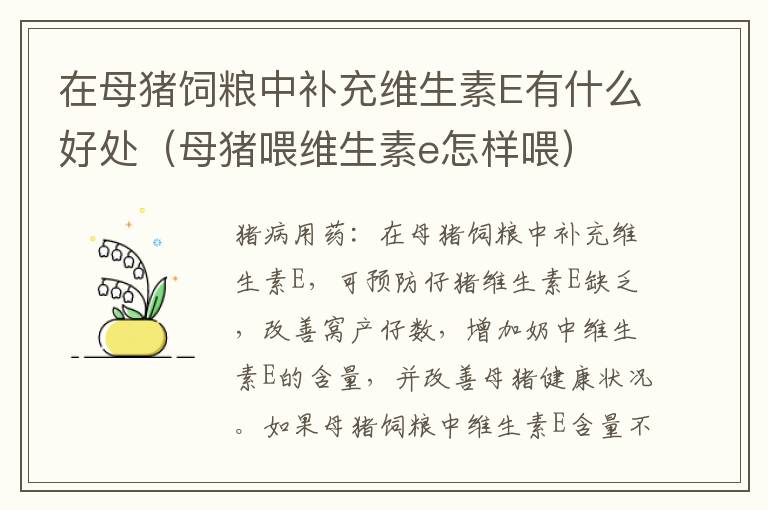 在母猪饲粮中补充维生素E有什么好处（母猪喂维生素e怎样喂）