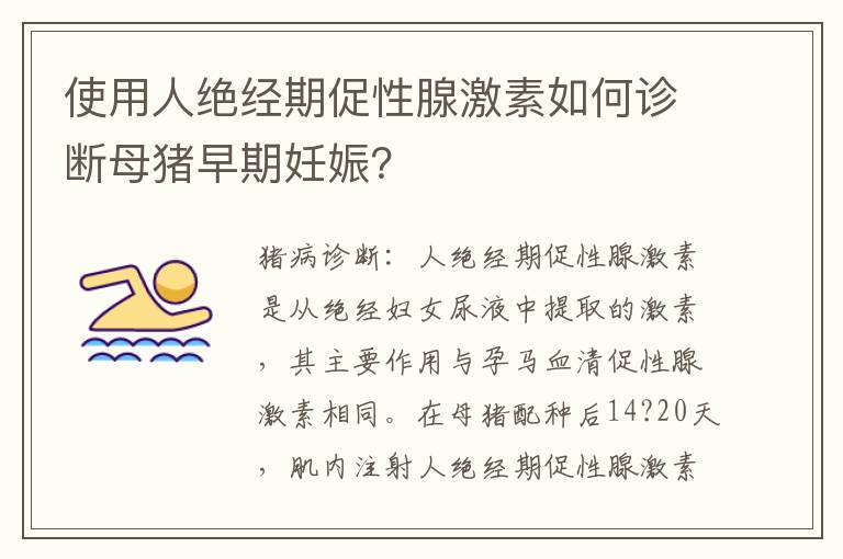 使用人绝经期促性腺激素如何诊断母猪早期妊娠？
