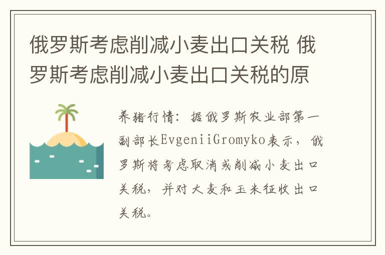 俄罗斯考虑削减小麦出口关税 俄罗斯考虑削减小麦出口关税的原因