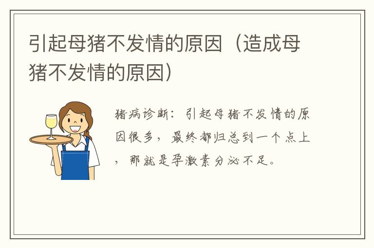 引起母猪不发情的原因（造成母猪不发情的原因）