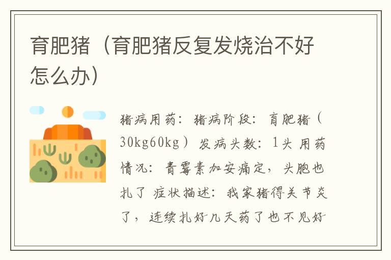 育肥猪（育肥猪反复发烧治不好怎么办）
