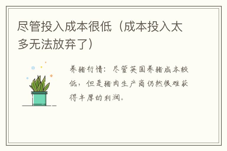尽管投入成本很低（成本投入太多无法放弃了）