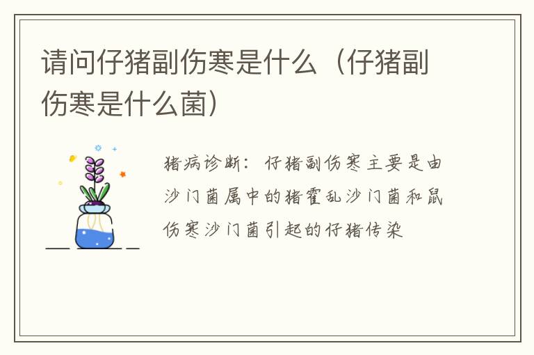 请问仔猪副伤寒是什么（仔猪副伤寒是什么菌）