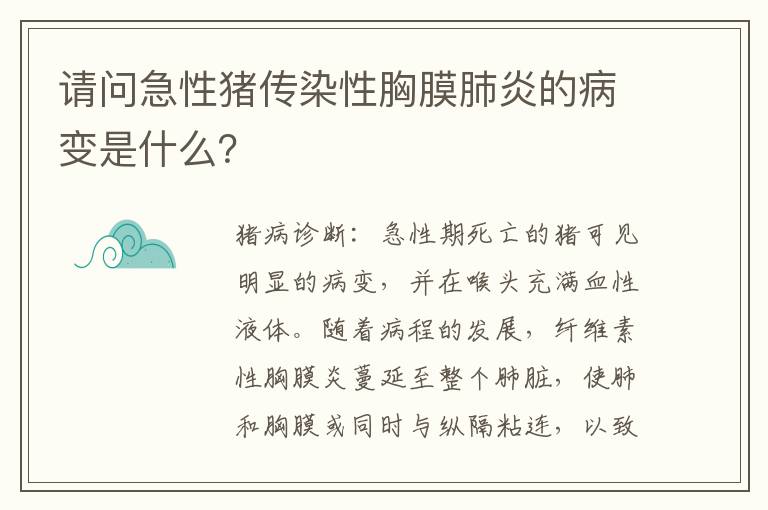 请问急性猪传染性胸膜肺炎的病变是什么？