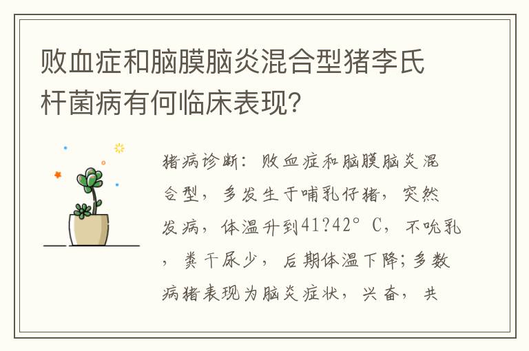 败血症和脑膜脑炎混合型猪李氏杆菌病有何临床表现？