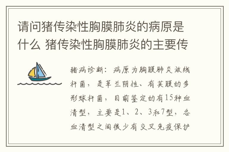 请问猪传染性胸膜肺炎的病原是什么 猪传染性胸膜肺炎的主要传播途径