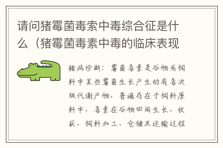 请问猪霉菌毒索中毒综合征是什么（猪霉菌毒素中毒的临床表现）
