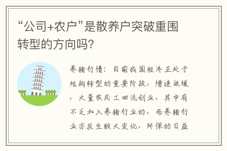 “公司+农户”是散养户突破重围转型的方向吗？