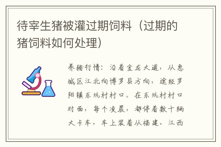 待宰生猪被灌过期饲料（过期的猪饲料如何处理）