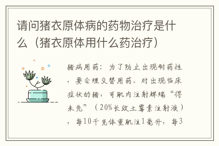 请问猪衣原体病的药物治疗是什么（猪衣原体用什么药治疗）