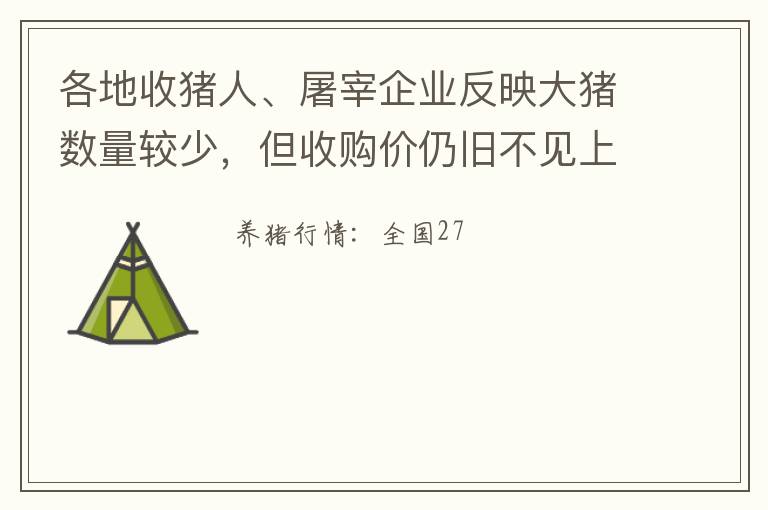 各地收猪人、屠宰企业反映大猪数量较少，但收购价仍旧不见上涨